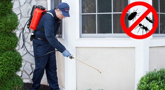Kocaeli Bit İlaçlama böcek ilaçlama ve haşere kontrolü — ilaclama-tr.com
